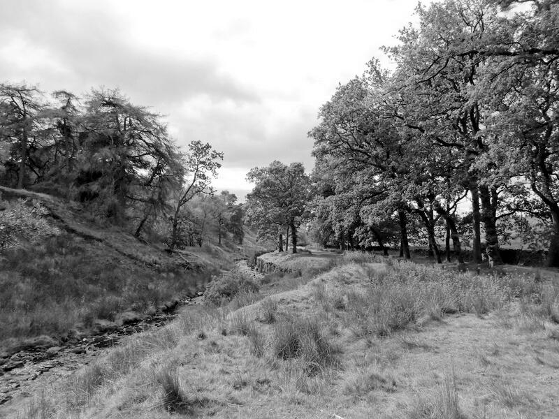 The Fold by CA Strange