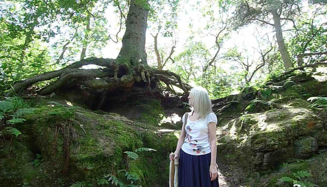 Nearly There by CA Strange